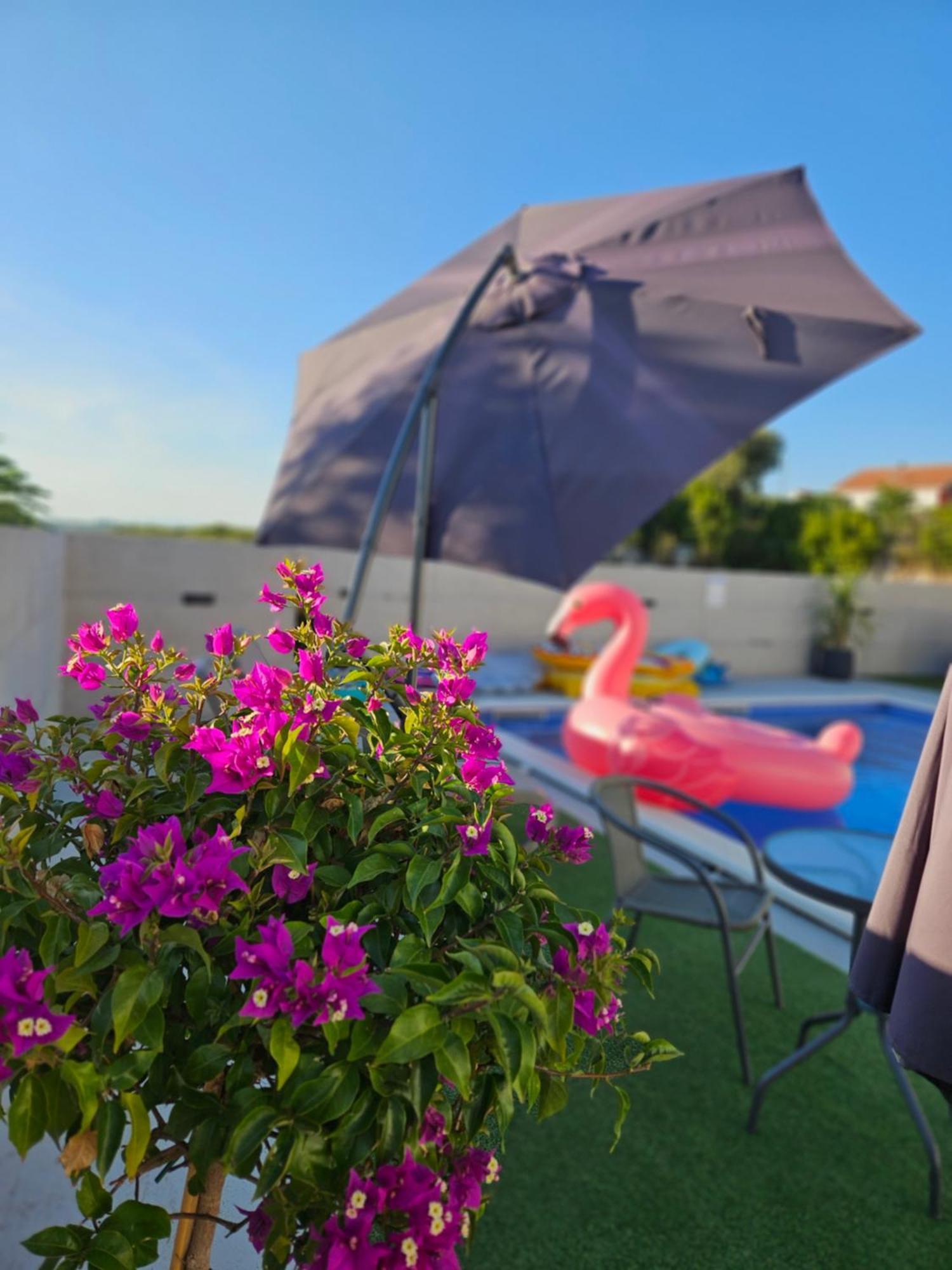 Kuca Za Odmor Donata Appartement Zadar